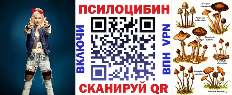 наркошоп Казань mega сайт Галлюциногенные грибы Cubensis